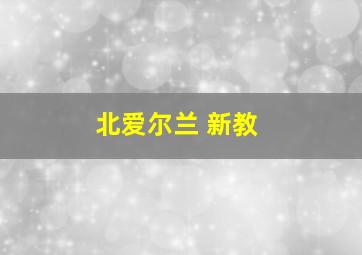 北爱尔兰 新教